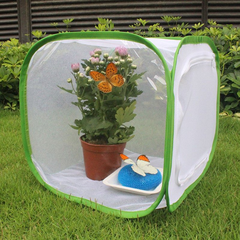 Filet Pop-Up Cage À Insectes, Cage À Papillons Réticulée Filet Blanc Avec Une Garniture Verte Pour Les Mites Bâton À Insectes Caterpillar