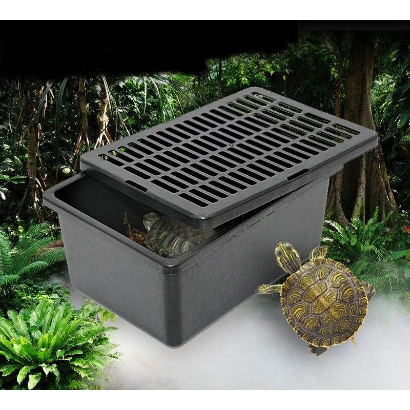 Boîte ventilée de Transport de Reptiles, boîte d'alimentation en plastique, respirante, à cornes, grenouille, tortue, Hamster, boîte robuste pour animaux de compagnie
