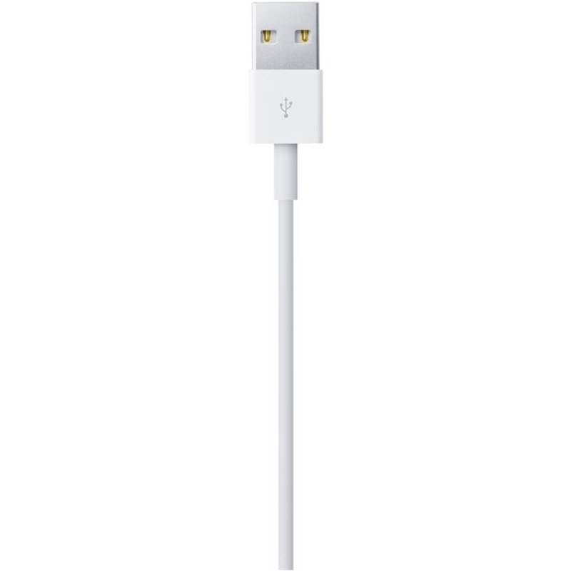 Apple - Câble Lightning - Lightning mâle pour USB mâle - 1 m