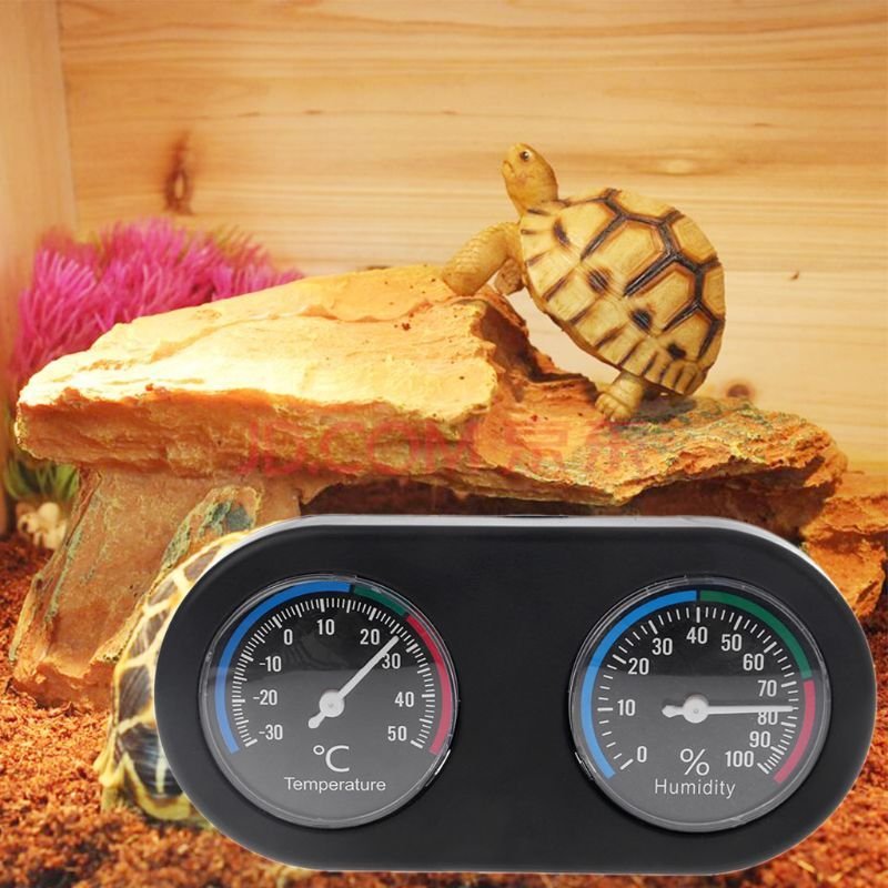 Thermomètre Et Hygromètre Pour Reptile, Moniteur De Température Et D'humidité Dans Le Vivarium Terrarium