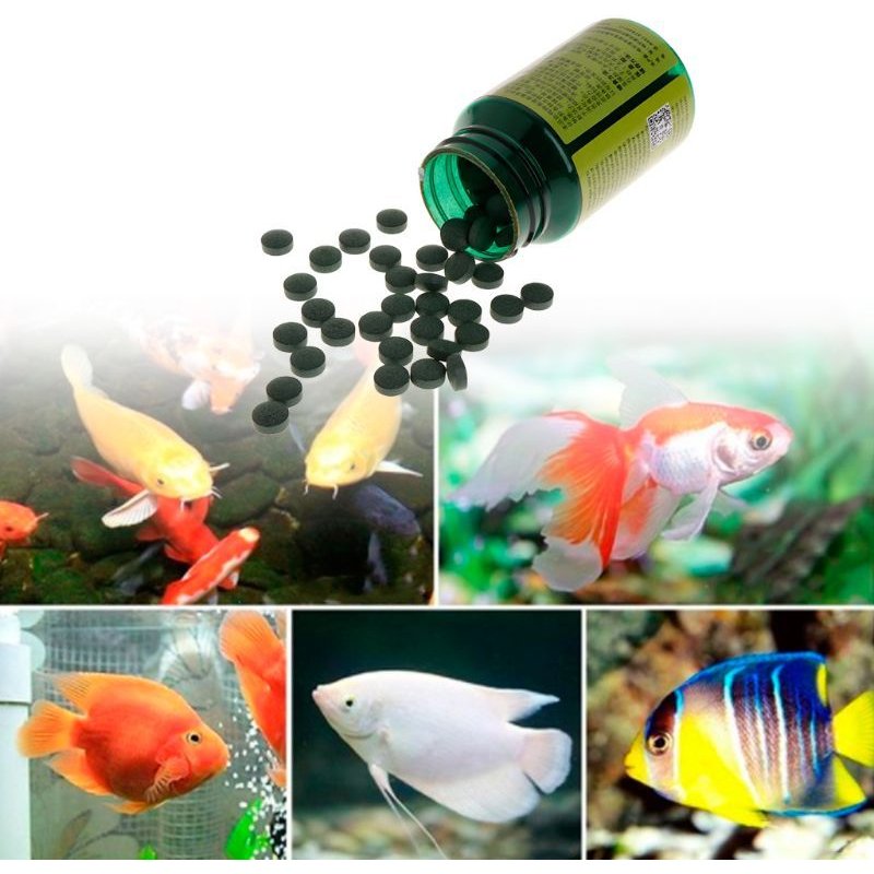 Comprimés De Spiruline Pour Poissons, Nourriture Pour Aquarium, Algues Tropicales, Protéines, Acides Aminés, Minéraux, Vitamines, Fournitures