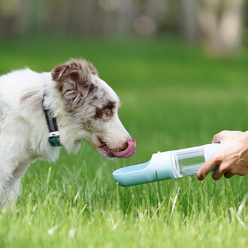 Bouteille D'eau Portable Pour Animaux De Compagnie, Pour Chiens, Voyage En Plein Air, Chats, Gobelet Distributeur Pour La Maison, Accessoires D'extérieur