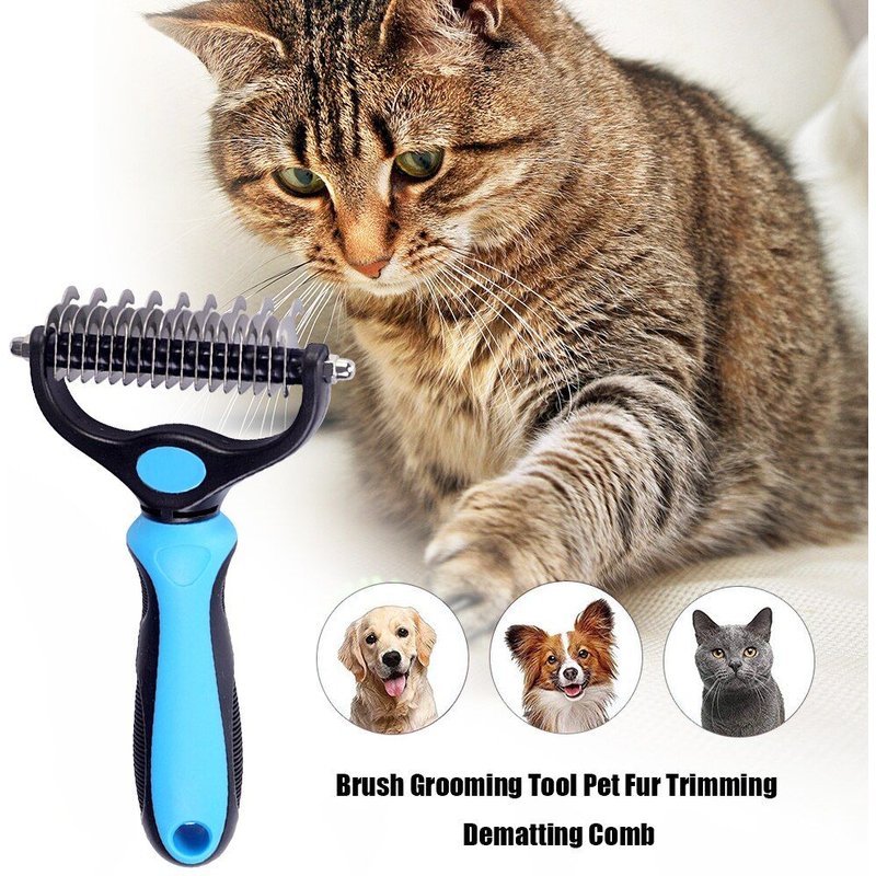Peigne Double Face En Acier Inoxydable Pour Éliminer Les Poils De Chat Cassés, Brosse De Massage De La Peau, Accessoires De Toilettage Pour Animaux De Compagnie