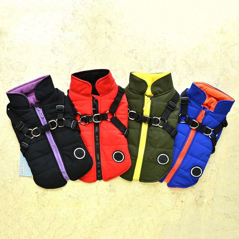 Veste D'hiver Coupe-Vent Pour Chien Et Chiot, Vêtement D'extérieur, Couleur Frappée