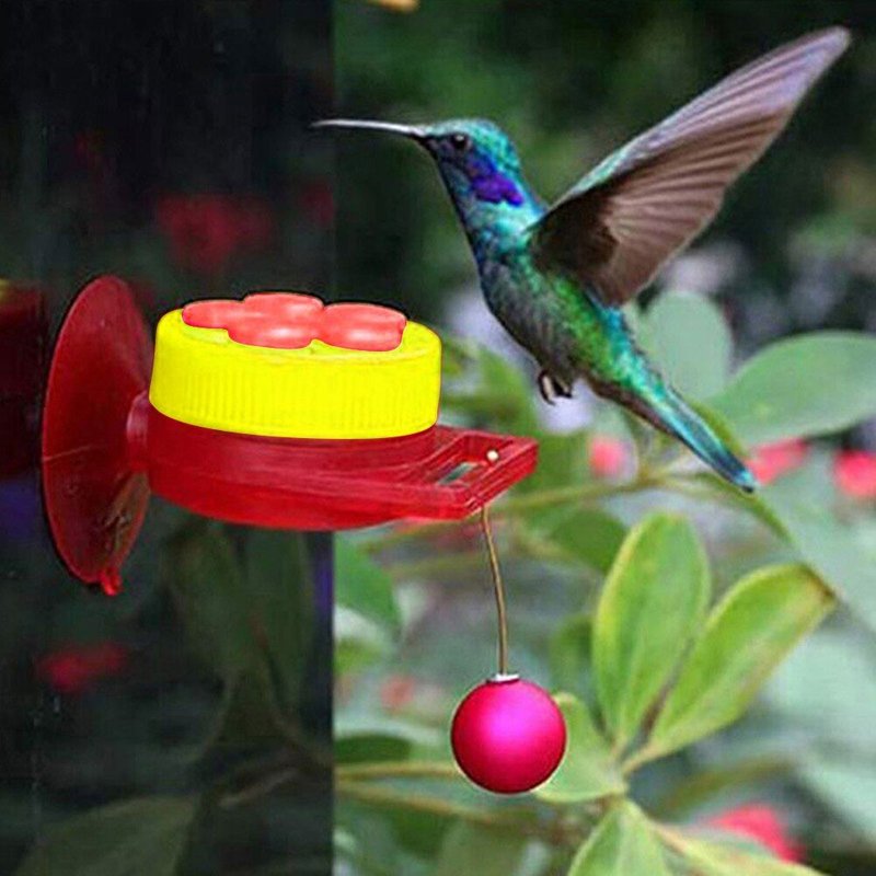 Mangeoire À Main Pour Colibris Avec Fenêtre À Ventouse, Mini Dispositif D'alimentation Pour Oiseaux Avec Perchoir Pour Jardin Extérieur Cour