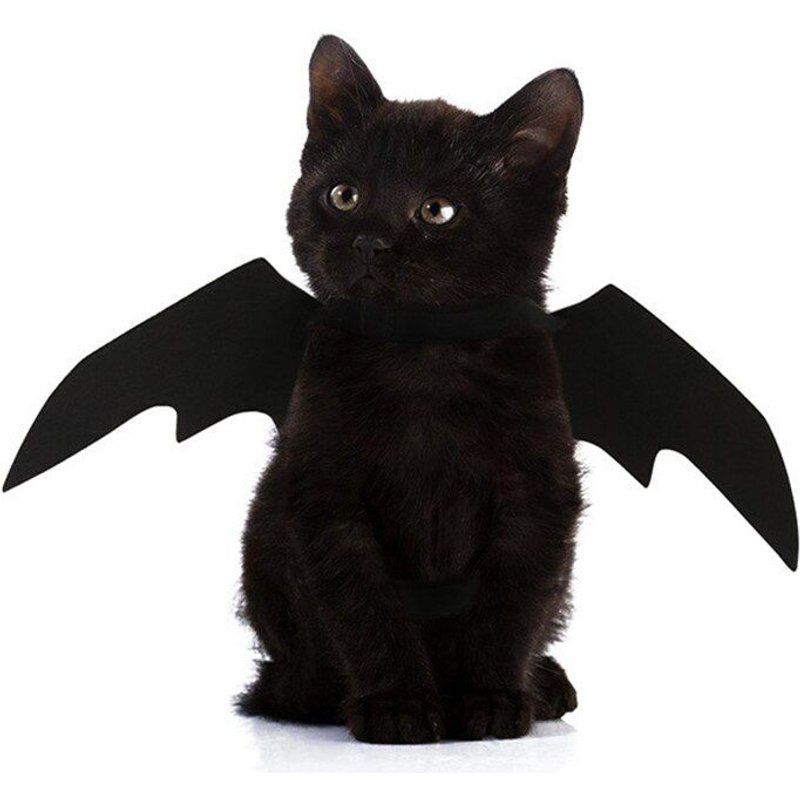 Harnais À Ailes De Chauve-Souris Noir Pour Animaux De Compagnie, Costume D'halloween, Cosplay, Chat, Chien, Fête D'halloween, Fournitures Pour Animaux De Compagnie Lbs