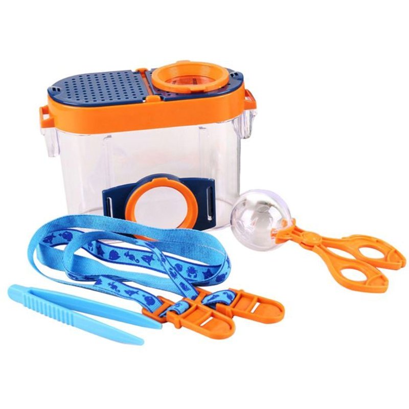 Vision D'insecte Avec Microscope Grossissant, Jouet Éducatif Pour Enfants, Observation De Classe De Science Pour Enfants, Verre D'animaux