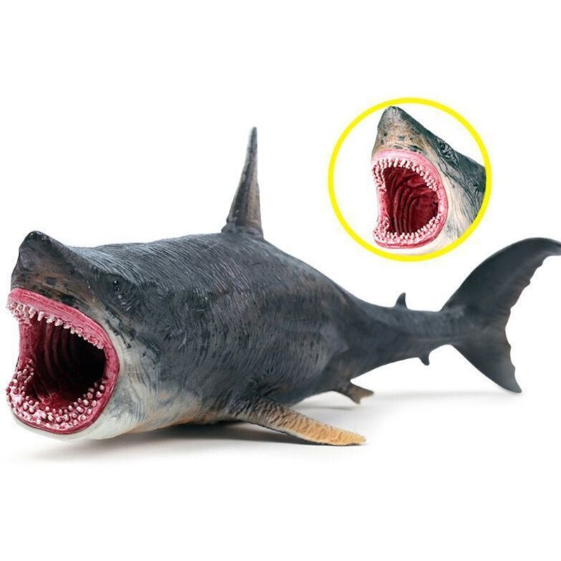 Jouet Éducatif En Pvc, Figurine D'action Modèle Megalodon Vie De Mer, Animal De L'océan, Jouet D'apprentissage Pour Enfants, Cadeau J2hd