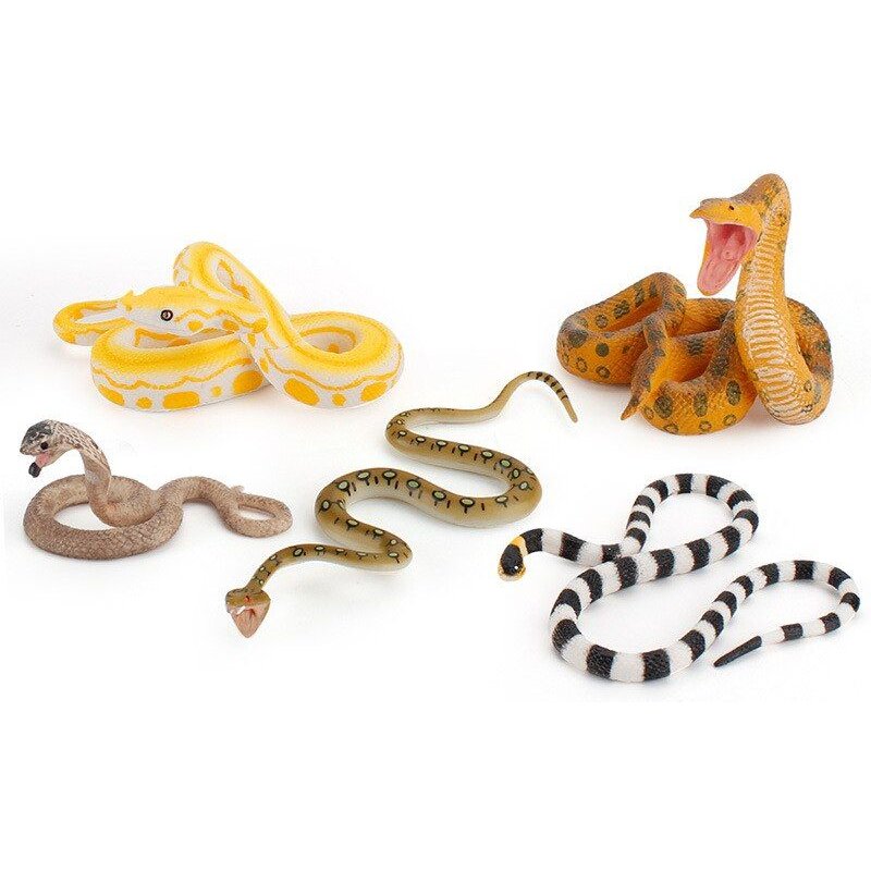 Nouveau Modèle D'animal Pour Enfants, Simulation De Serpent, Effrayant, Reptile Sauvage, Jouet Cognitif, Accessoires