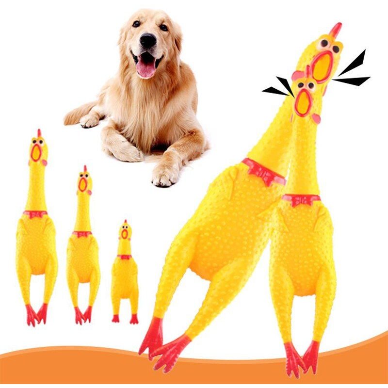 Nouvel Arrivage De Poulet À Presser, Jouet Sonore Pour Chien De Compagnie, Outil De Décompression, Pour Tous Les Animaux De Compagnie