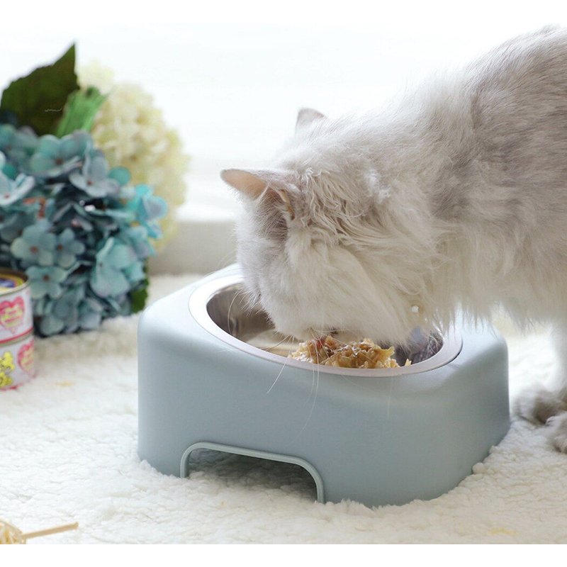 Bol À Aliments Pour Animaux De Compagnie, Bol À Aliments Créatif Incliné En Acier Inoxydable Pour Chat Et Chien, Fournitures D'alimentation Pour Chiot