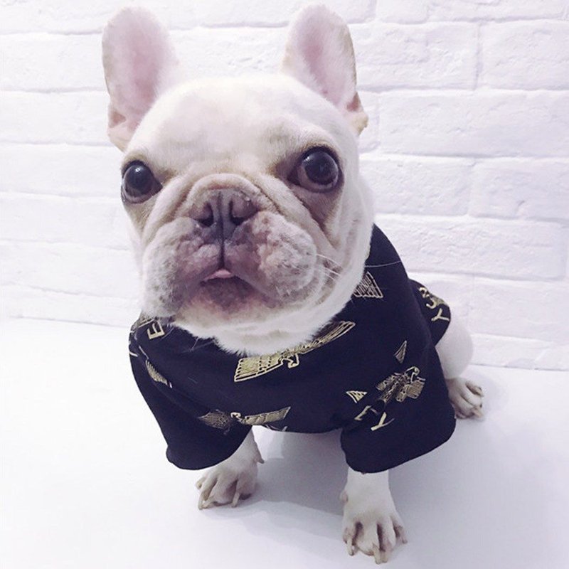 VĂȘtements De QualitĂ© Pour Chiens Noirs ImprimĂ©s De Patte Noire, T-Shirt En Coton Pour Chiens, Chiot Tendance, Petit Moyen, Teddy Dog, Accessoires D'animaux Domestiques