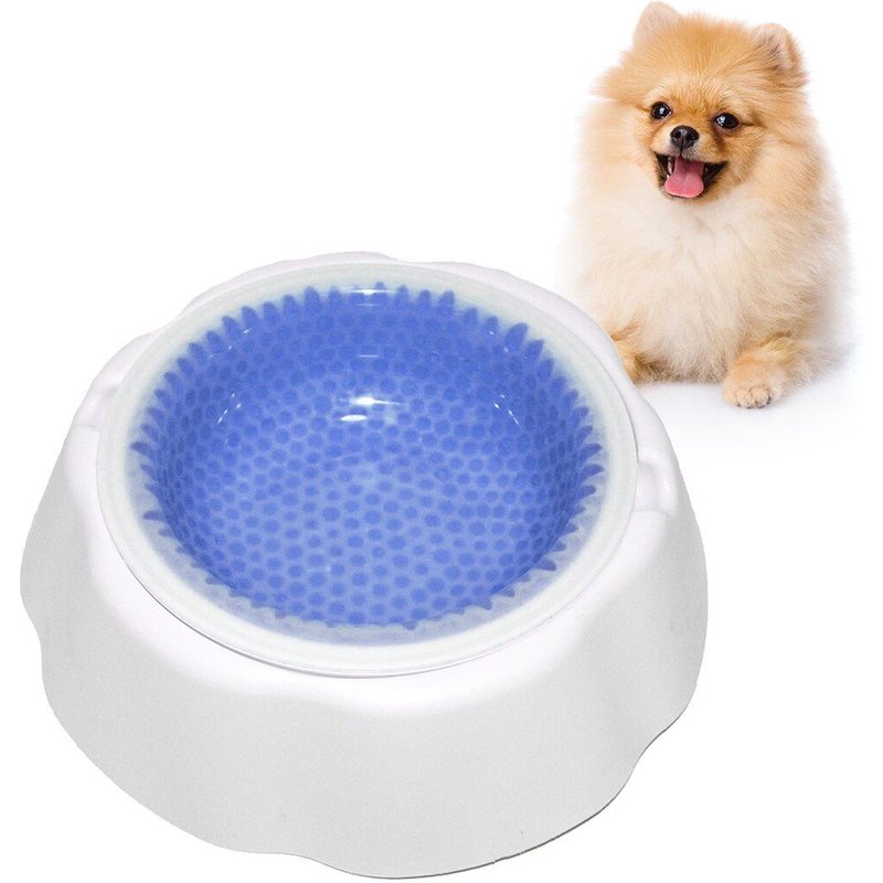 Bol À Refroidissement Rapide Pour Chien, Ustensile Frais Pour Chiot, Nourriture Pour Animaux De Compagnie, Fournitures D'alimentation En Eau