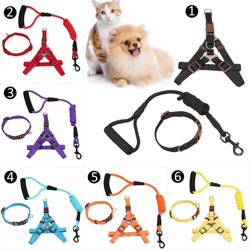 Harnais De Chien De Compagnie Réglable Pour Petits Chiens, Harnais De Chat, Chiot Chat, Accessoires De Animal De Compagnie, Laisse De Chien, Colliers D'entraînement En Plomb