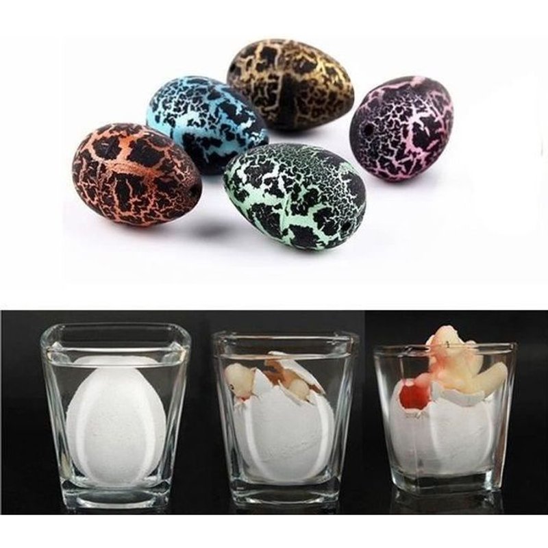 Oeufs Dinosaure A Éclore Dans L'eau Oeuf À Tramper Jeu Scientifique * Dimensions : 3 X 2 X 2 Cm * Matière : Plastique Fonctions