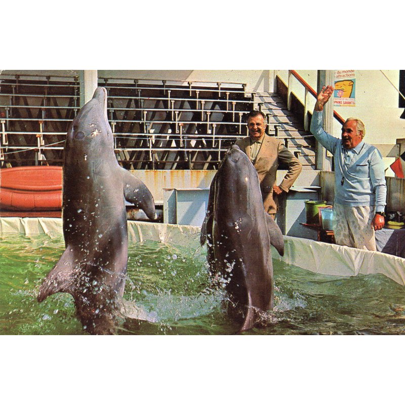 Carte Postale Xx Eme Siecle N° 1 - Theme Personnages - Celebrites - Les Celebres Dauphins De Jean Richard Et Du Capitaine Richard Decker 10.40 Cm C X 15 Cm