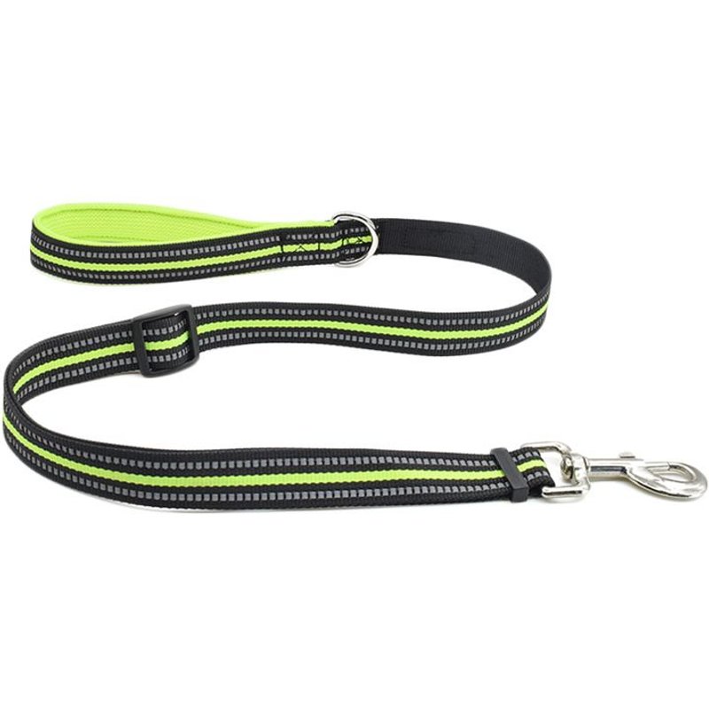 Laisse Réfléchissante Pour Chien Pour La Marche Et La Course Des Chiens Vert M