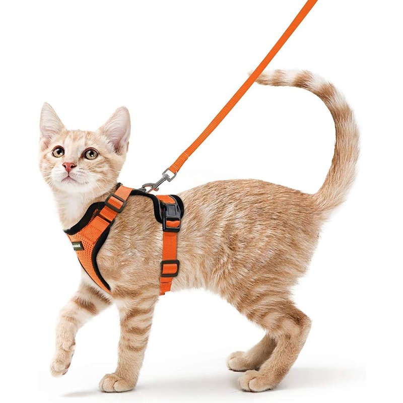 Rabbitgoo Harnais Chat Petit Chien Laisse Harnais Chaton Réglable Orange Xs Collier Harnai Chat Refléchissant Gilet Respirant Pour Lapin, Chat Européen, Maine Coon, Persan, Attache Dessus Avec Laisse