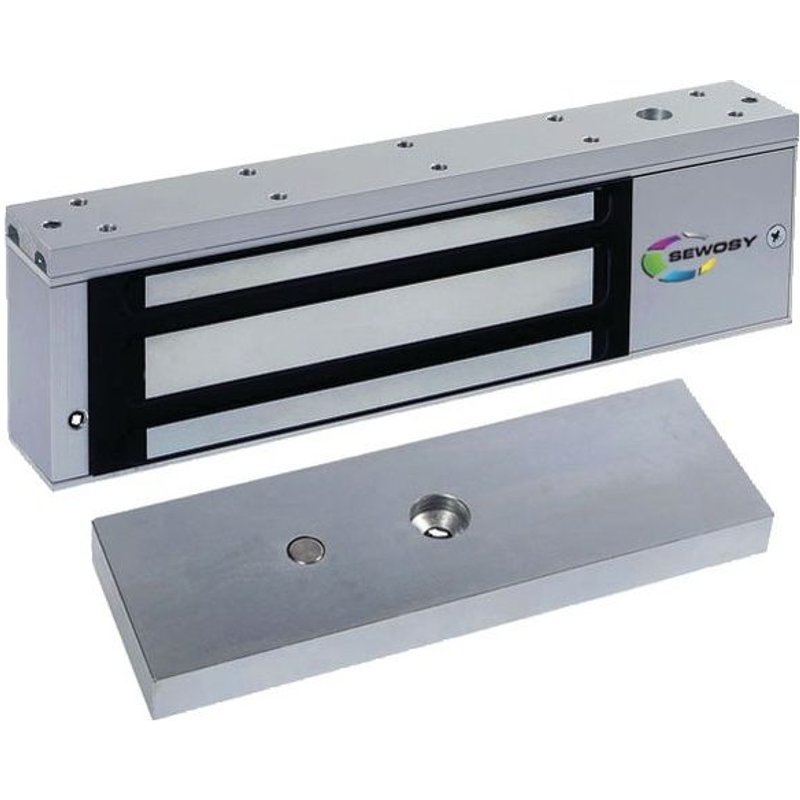 Ventouse 500 kg Sewosy EF550CTC