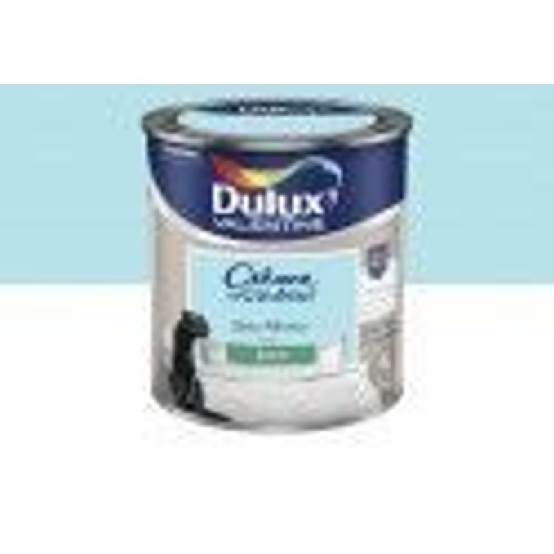 Peinture décoration finition crème de couleur satin bleu rêveur 0.5l DULUX VELENTINE