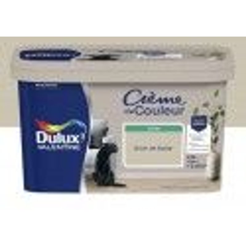 Peinture décoration finition crème de couleur satin beige grain de sable 2.5l DULUX VALENTINE