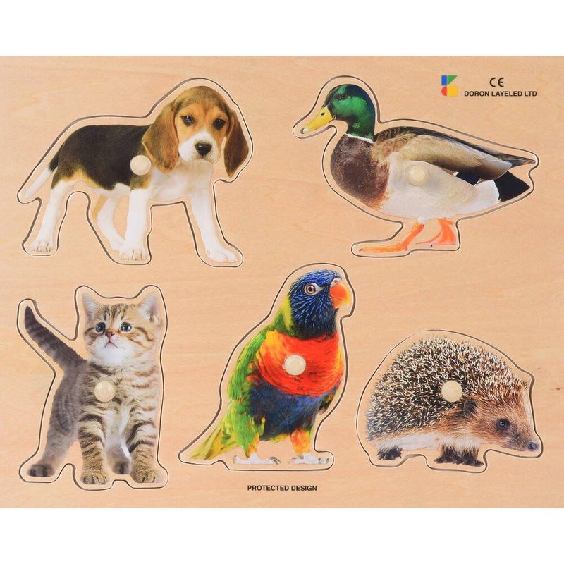 Les Animaux De Compagnie 18 Mois