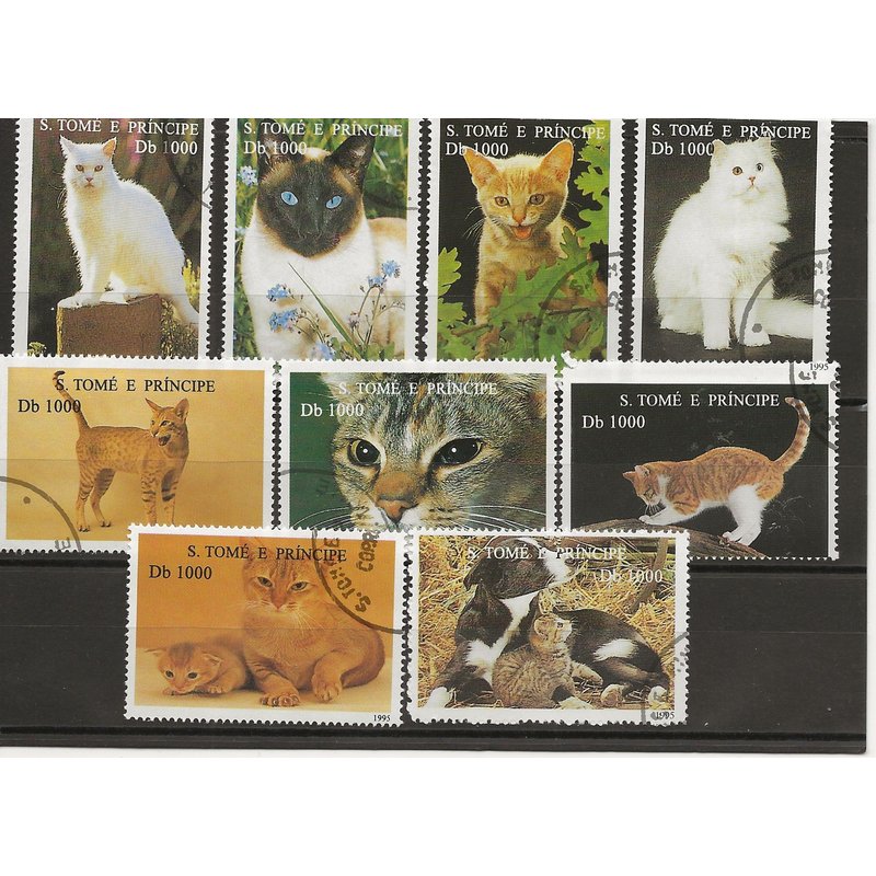 Chats Du Monde -Serie Complete