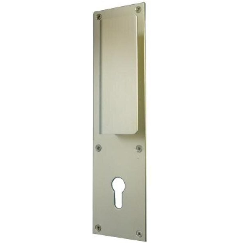 Poignée sur plaque borgne DUVAL BILCOCQ argent - 1140