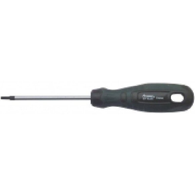Tournevis Tamper T20 100 mm