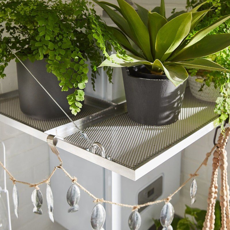 Lot de 2 platines avec anneau inox, L.80 x l.35 mm