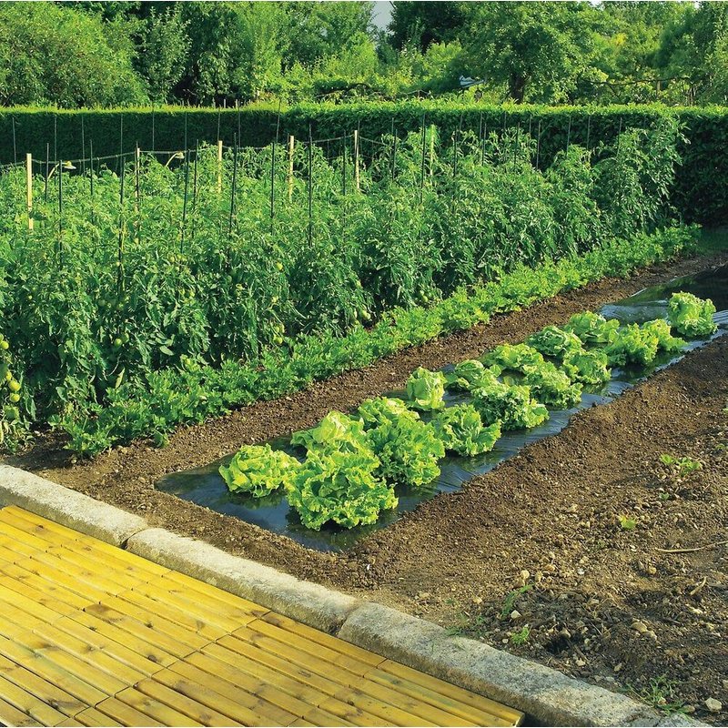 Film paillage - toutes cultures - 10x1.4 m