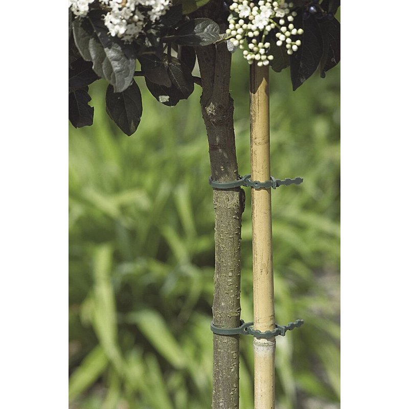 Liens Plastique Fix (17 - 40)