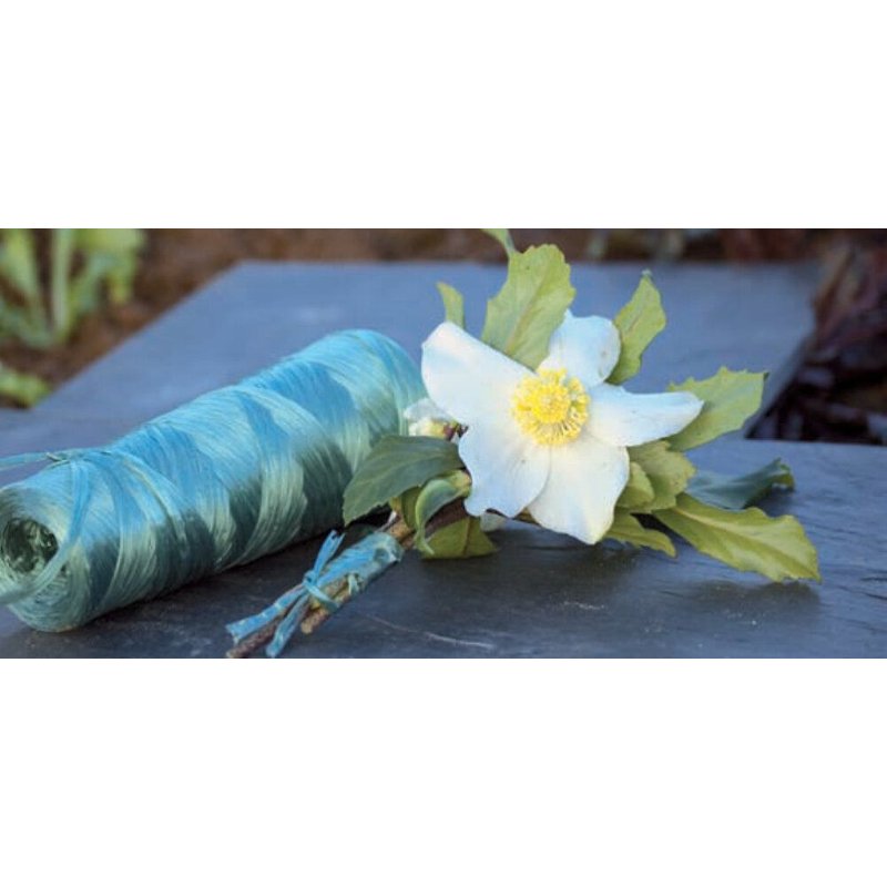 Raphia synthétique - 100 g