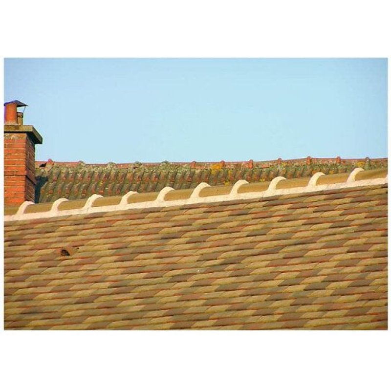 Mortier bâtard PAREXLANKO - 5kg - 02818