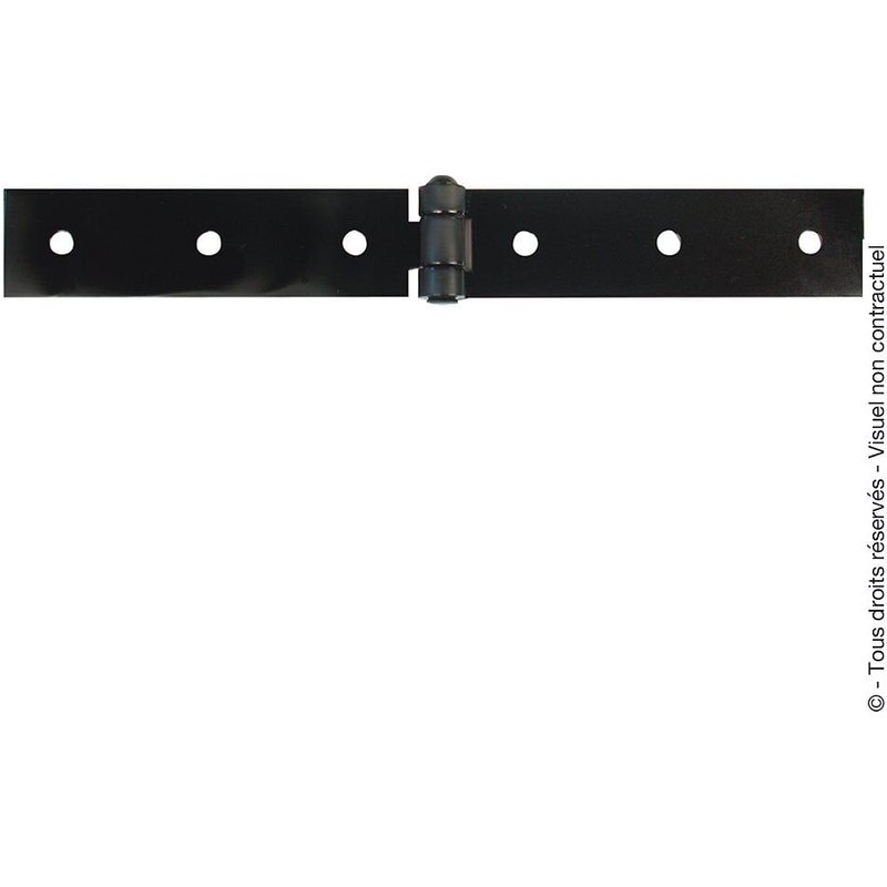 Charnière forte acier pour volets battants, L.40 x l.300 mm
