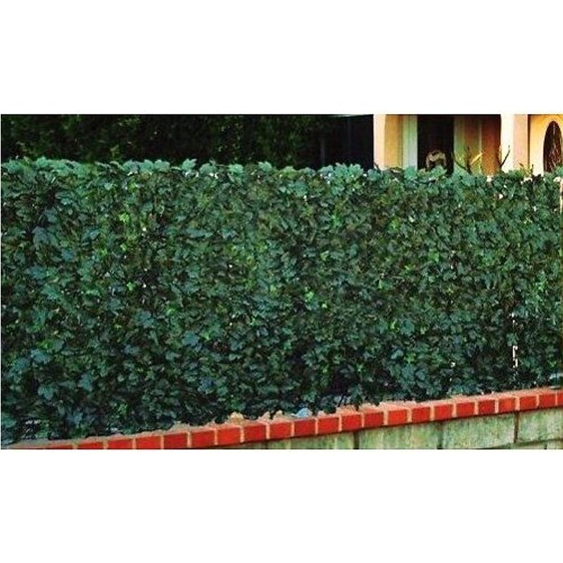 gamme haie FEUILLAGES DUO 1,50mx3m