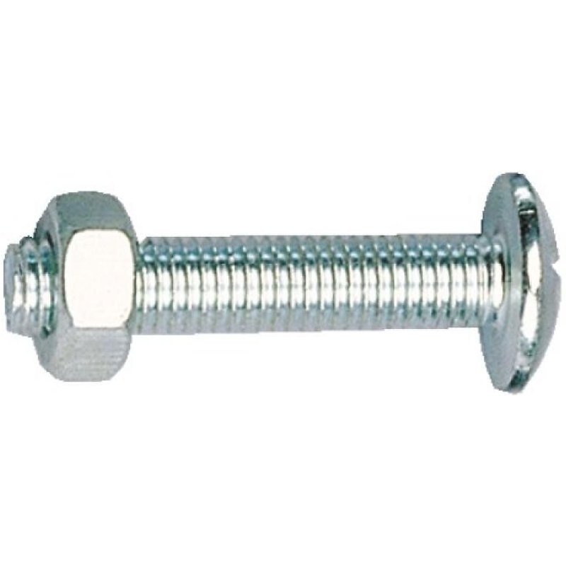 Boulons poêliers - tête ronde - filetage total - 8x25 mm - 100 pièces GFD