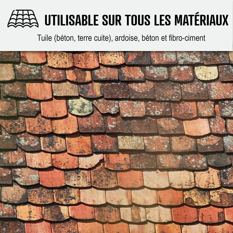 Nettoyant flash pour toiture tuile, béton, ardoise, terre cuite ACTION ULTRA RAPIDE 5 L