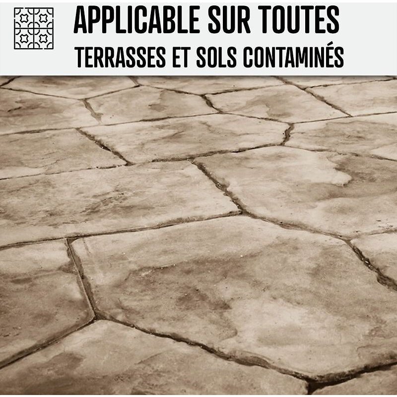 Nettoyant terrasse professionnel rapide pavé autobloquant pierre béton 20 L