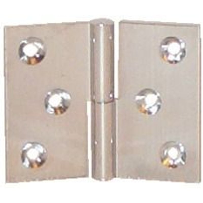 Paumelle laiton poli 40x50 gauche noeud 6 axe acier - QCDR - PO4250S10