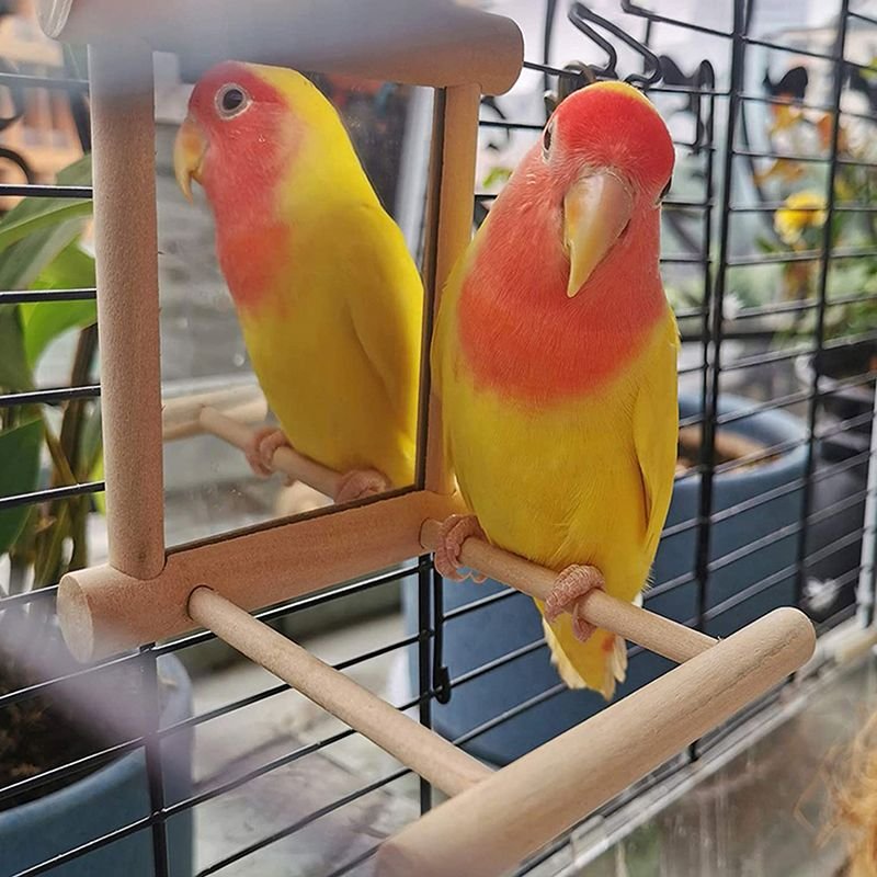 Miroir À Oiseaux Avec Perchoir, Support, Jouet Pour Perroquets, Perruches, Cockatiels, Cage