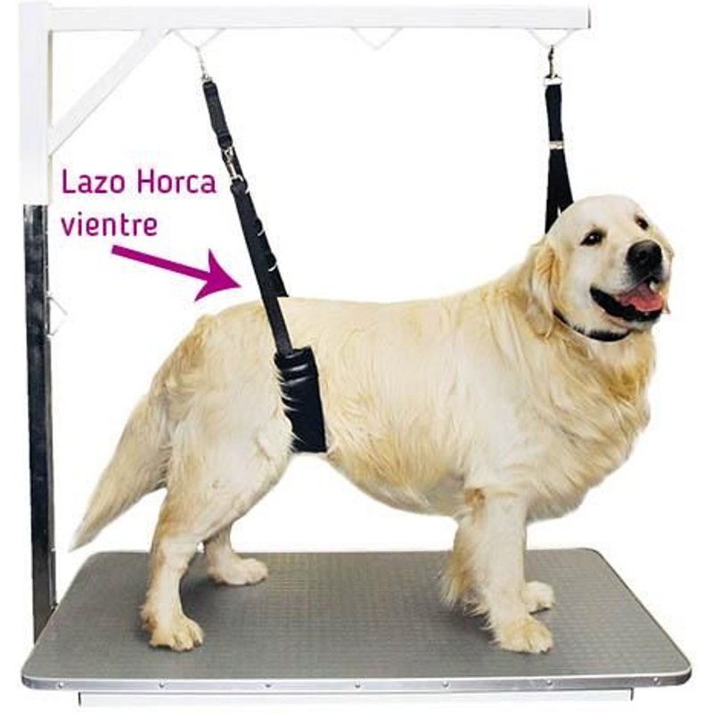 Fourchette À Boucle Rembourrée Pour Le Ventre Lace Fork Fork Large Big Big Breeds