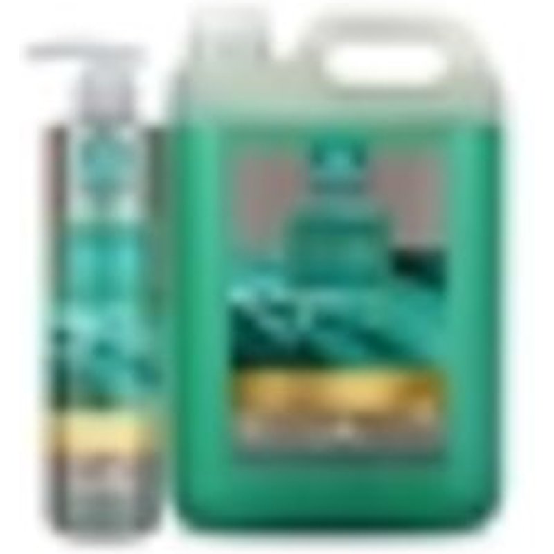 Shampoing Ibáñez The One Shampooo Ibáñez --- The One 500 Ml.