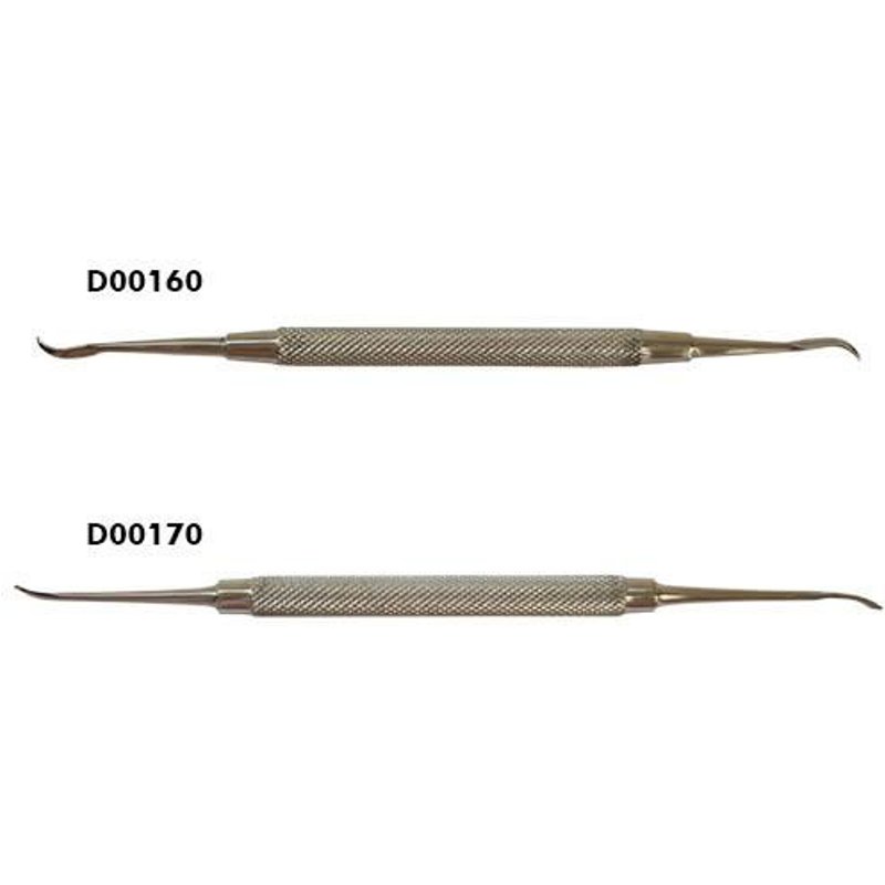 Déménageurs De Qualité Plate. Droite Et Gauche