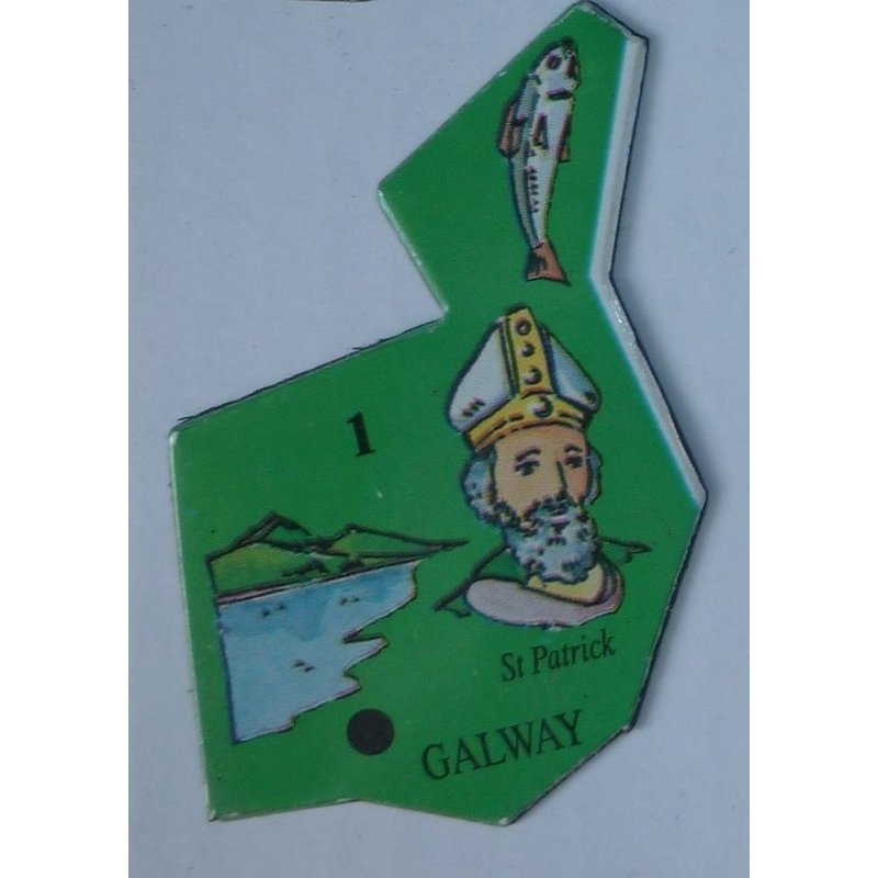 Magnet Puzzle Europe N° 1 (Galway St Patrick)