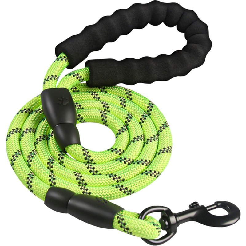 Intirilife Nylon Réfléchissant Laisse De Chien Animal De Compagnie En Vert Avec Une Longueur De 1.5 Mètres Pour Promener Votre Animal De Compagnie