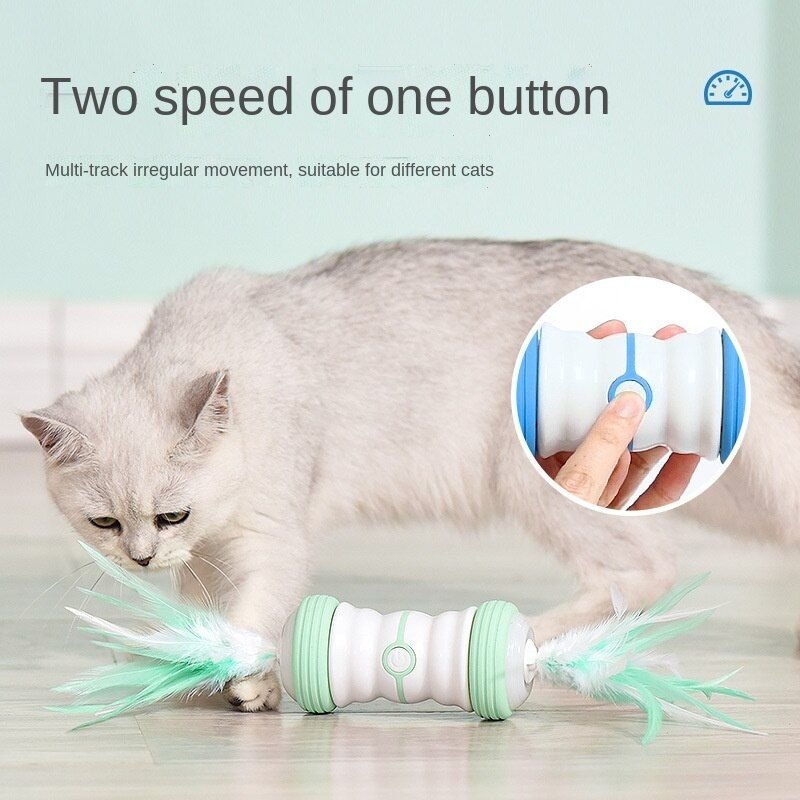 Jouet Électrique Pour Animaux De Compagnie, Jouet Pour Chat, Baguette Magique, Jouet Pour Chat À Rotation Automatique, Jouet Pour Chat, Jouet Pour Chat