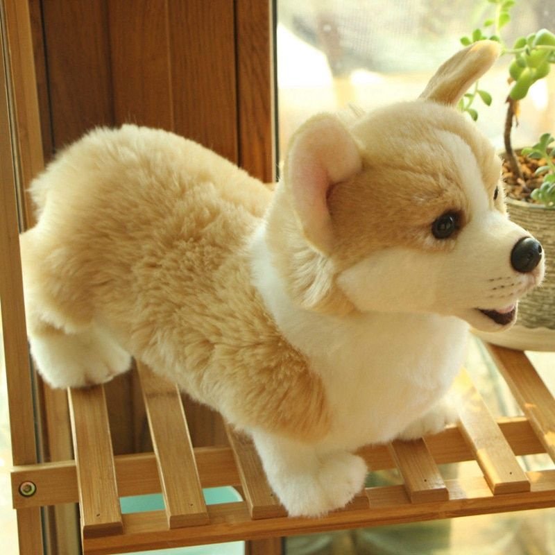 Mignon Simulation Chien En Peluche Jouet Bébé Poupées Corgi Animaux En Peluche Jouets Pour Enfants Filles Cadeau D'anniversaire Décor À La Maison