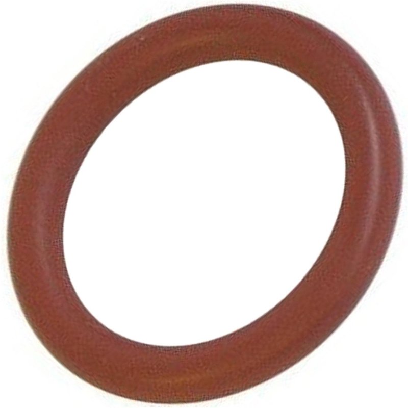 Joint torique d'origine Nettoyeur vapeur (TP001069 CS-00092912 MOULINEX CALOR TEFAL ROWENTA POLTI)