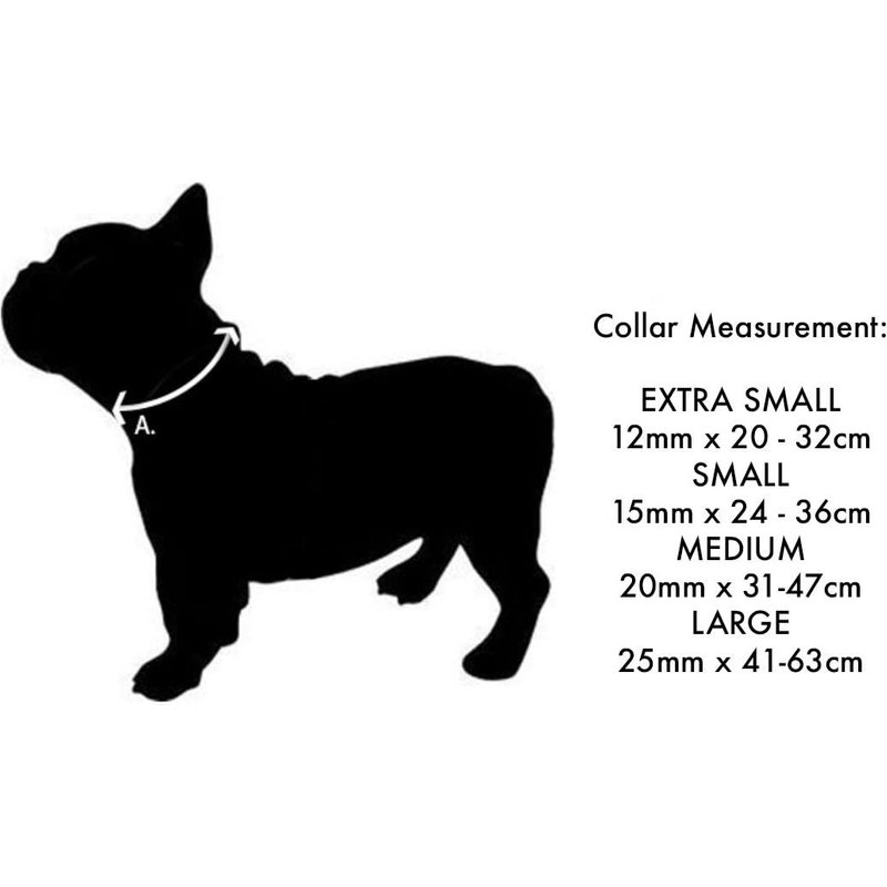 Red Dingo - Lisse Collier De Chien